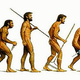 Illustration for article titled Evolution Has Made Us Worse, Claims Anthropologist